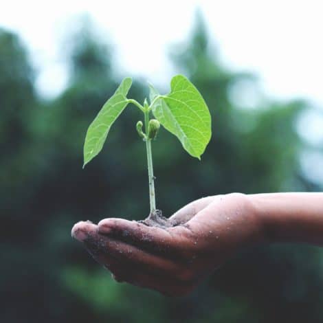 Commit To Growth